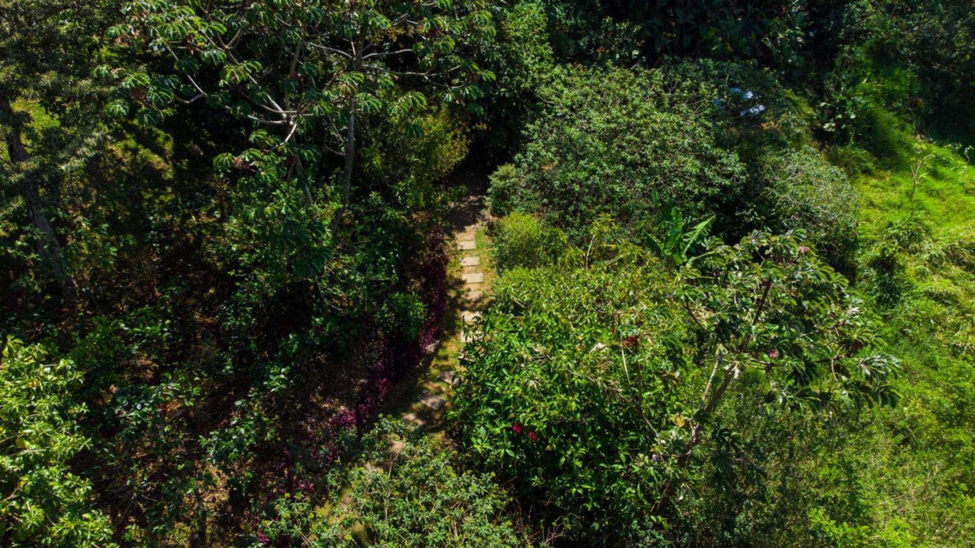 波科波科酒店 - 哥斯达黎加 Monteverde 外观 照片